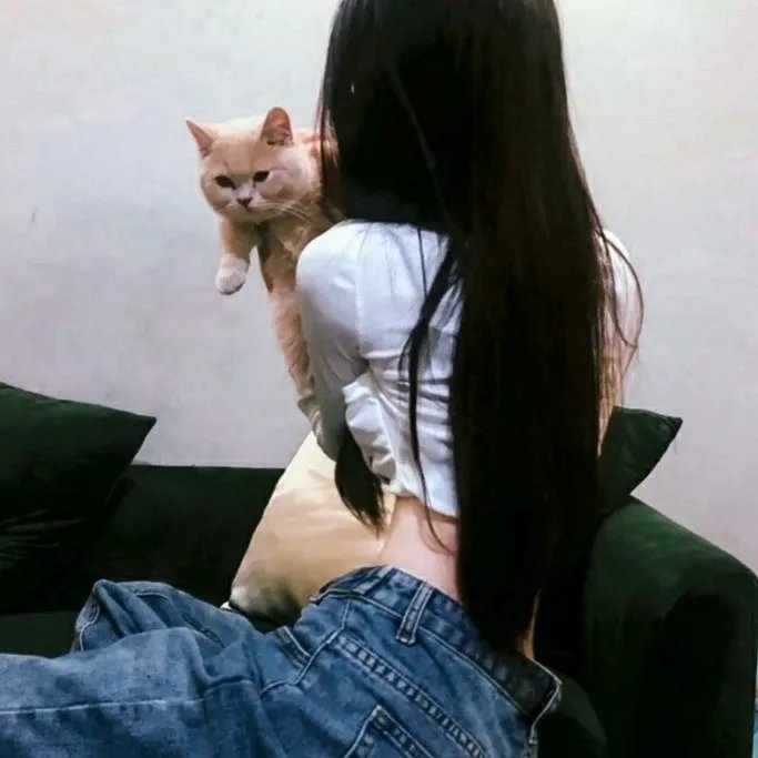 七小福再出击